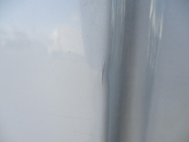 R2 日野デュトロ 10尺 パブコ製ドライバン