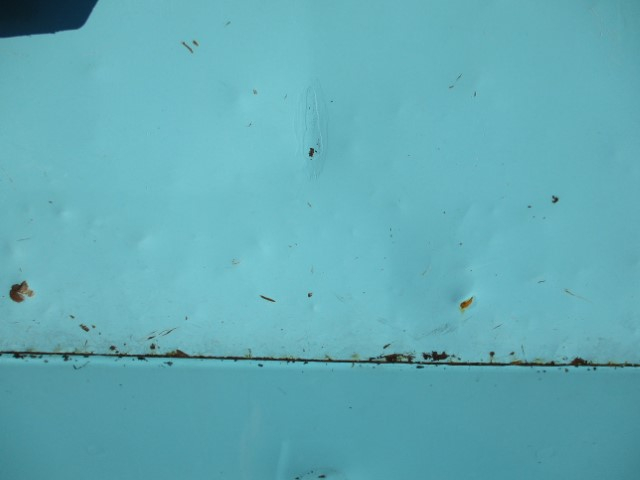 H29���������ե���ɡ����ȥ�ץ쥹���г��֡�8.2Ω��