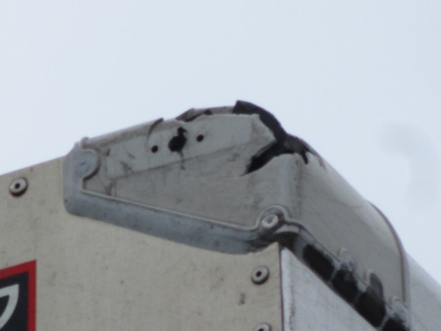 R1���դ���SP���졼�ȡ��ե�ϡ���������ߥ����󥰡���������