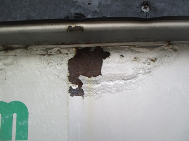 H28���������ե���ɡ����ȥ󥢥��ʿ�ܥǥ�PG�ա��Ѻ�6,200��