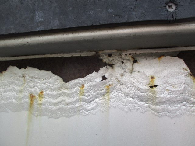 H28���������ե���ɡ����ȥ󥢥��ʿ�ܥǥ�PG�ա��Ѻ�6,200��