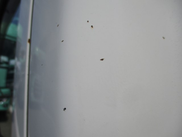 H19���ȥ西�����ʡ�3.6KL���󥯡����ɽ���ͭ�ʼ�³�����