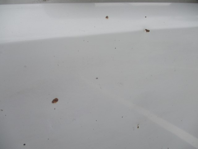 H28���դ����ե���������ʿ�ܥǥ�������ߥ֥��å�